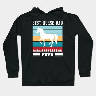 Best Horse Dad Ever Hoodie